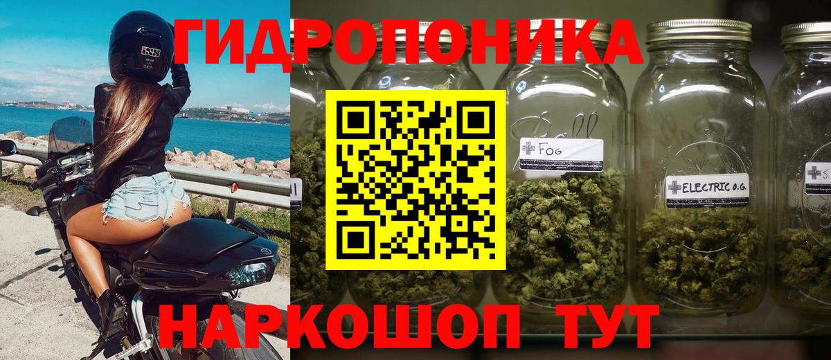 Канабис ГИДРОПОН Сертолово